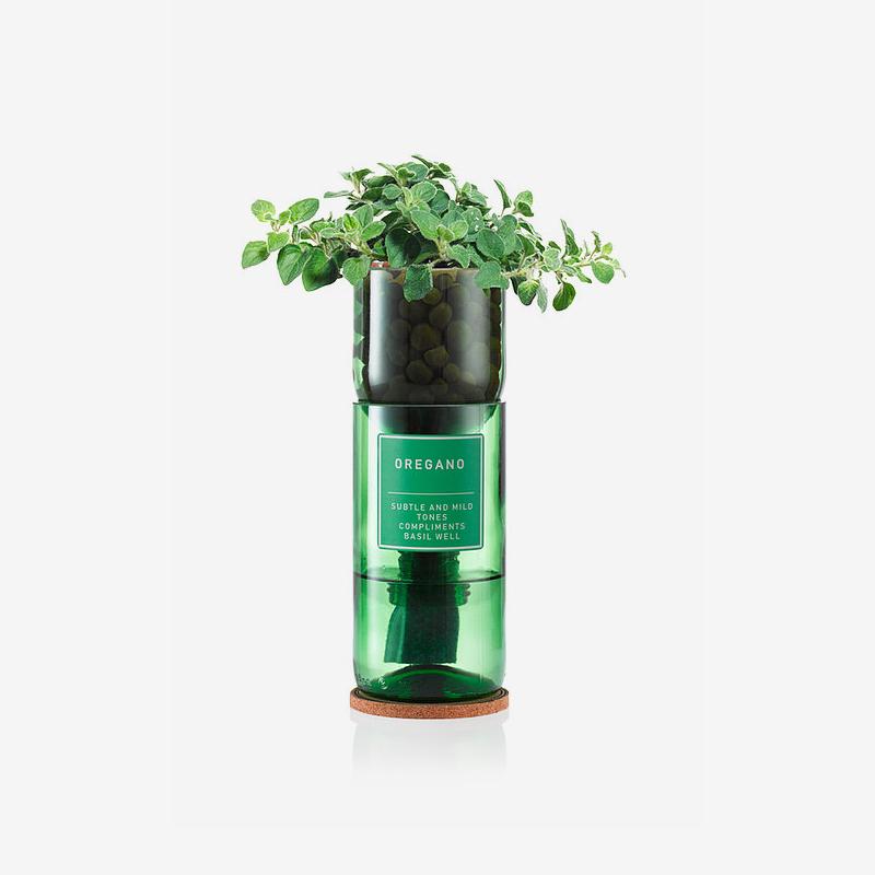 Oregano Hydro Herb kit - Artysan