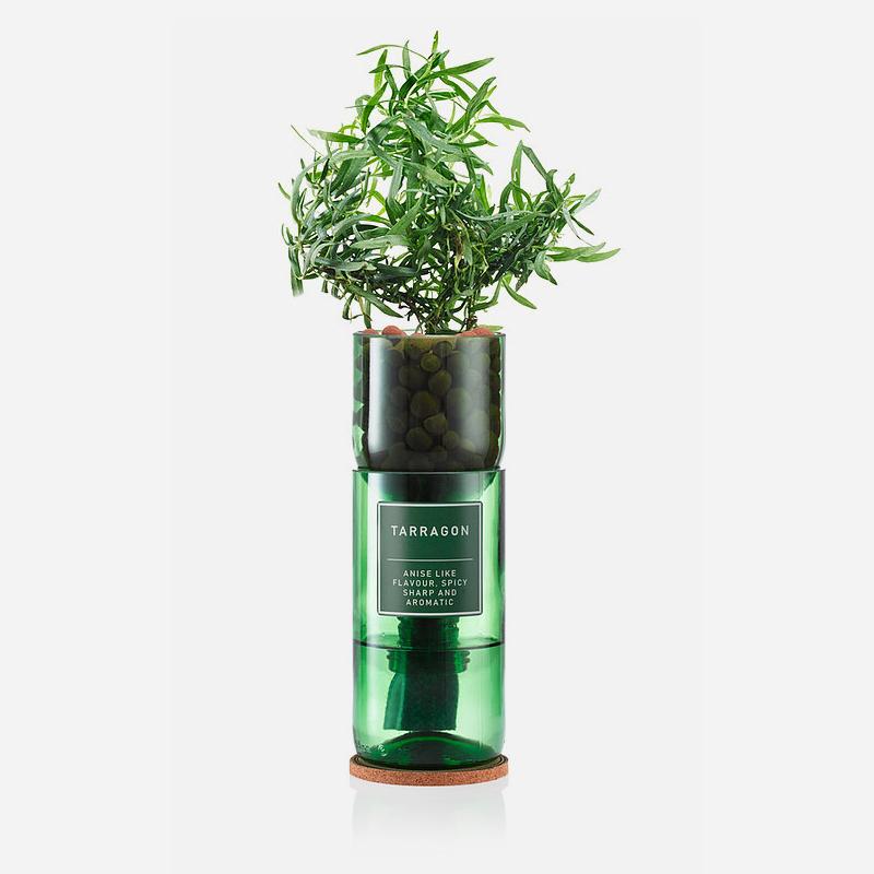 Tarragon Hydro Herb kit - Artysan