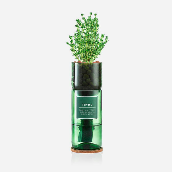 Thyme Hydro Herb kit - Artysan